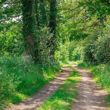 Vakantiepark Westerwolde Pagedal Stadskanaal Dış mekan fotoğraf
