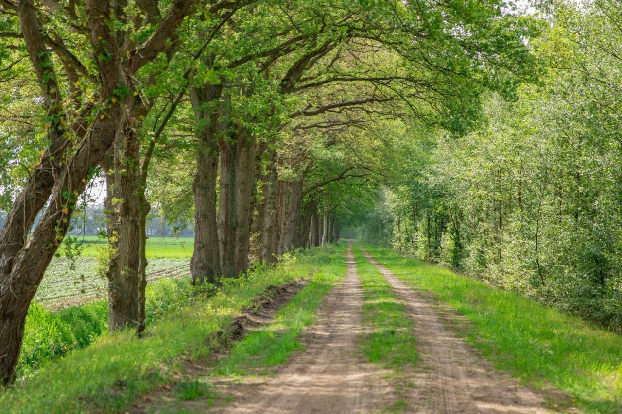 Vakantiepark Westerwolde Pagedal Stadskanaal Dış mekan fotoğraf